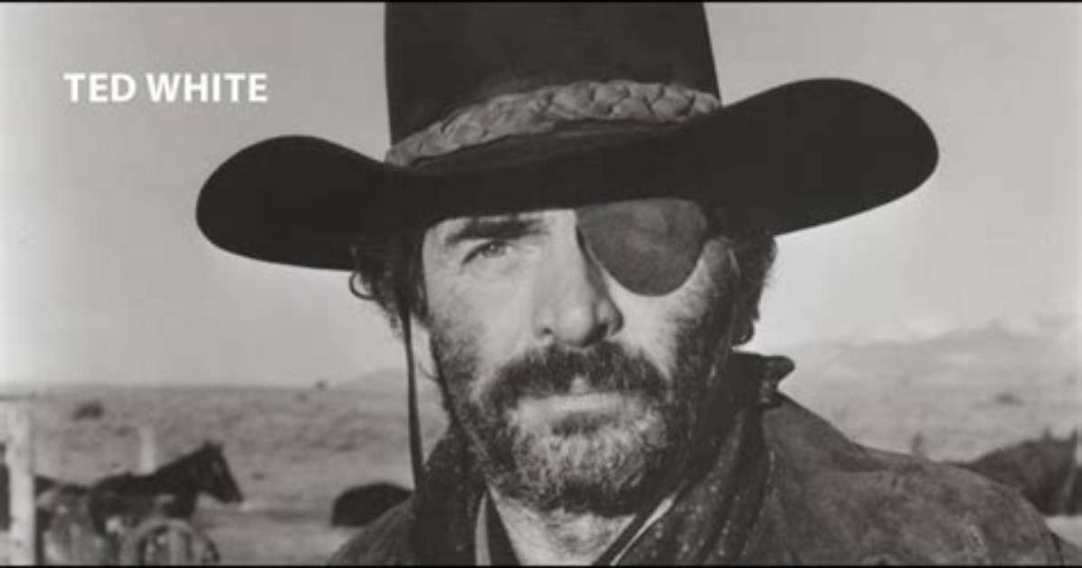 Ted White (Stuntman) Biography, Age, Height, Wife, Net Worth and Family